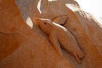 Sand sculptures 2655.jpg