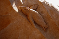 Sand sculptures 2654