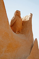 Sand sculptures 2691