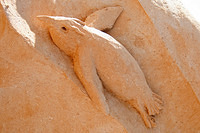 Sand sculptures 2692