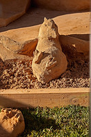 Sand sculptures 2693